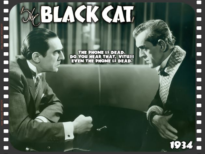 The Black Cat