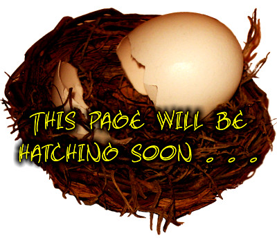 coming soon . . .