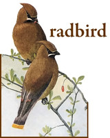 Welcome to radbird, the New River Valley�s Premier Birding Outfitter